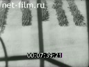 Footage frame