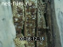 Footage frame