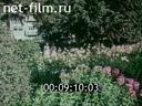 Кадр видео