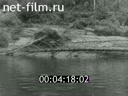 Кадр видео