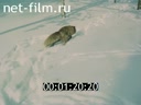 Кадр видео