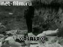 Кадр видео