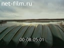 Кадр видео