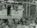 Кадр видео