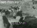 Кадр видео