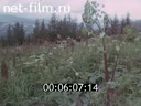 Кадр видео