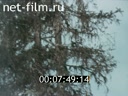 Footage frame