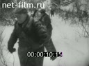 Кадр видео