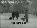 Кадр видео