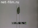 Footage frame