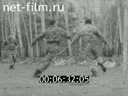 Кадр видео