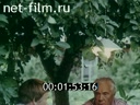 Кадр видео