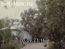 Кадр видео