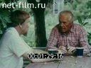 Кадр видео