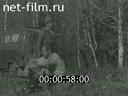 Кадр видео