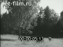 Кадр видео