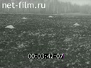 Кадр видео