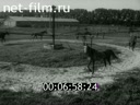 Footage frame