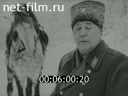 Кадр видео