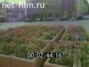 Footage frame
