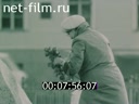 Кадр видео