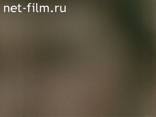 Киножурнал Советская армия №48-1980 На страже неба Отчизны. (1980)