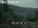 Кадр видео