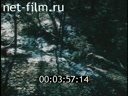 Footage frame