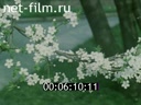 Footage frame