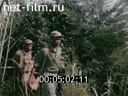 Здесь и трава родится красной