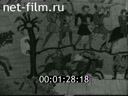 Кадр видео