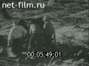 Кадр видео