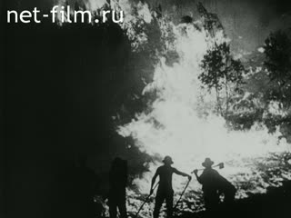 Newsreel Fox Toenende Wochenschau №5 (1939)