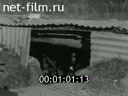 Кадр видео