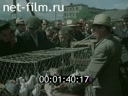 Кадр видео