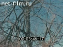 Footage frame