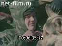 Кадр видео