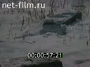 Кадр видео