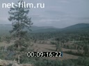 Кадр видео