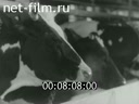 Footage frame