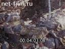 Footage frame