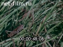 Urals.From spring to spring