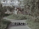 Кадр видео