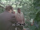 Footage frame