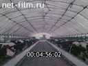 Footage frame