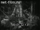 Footage frame