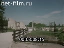 Кадр видео
