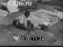 Кадр видео