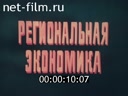 Regional economy (Movie 1, West Siberian complex)