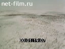 Regional economy (Movie 1, West Siberian complex)